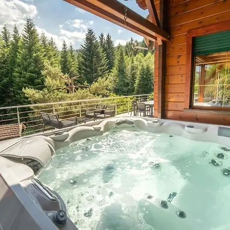 Chalet Le Chant Du Ruisseau - Sauna Le Tholy