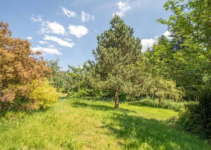 Le Chant Du Ruisseau - Sauna Le Tholy